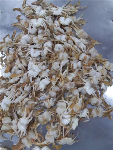 Frozen Tangyang Sea Crab