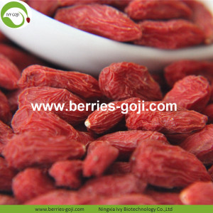 Perder o peso seco, natural, saudável, tibetano, Goji Berry