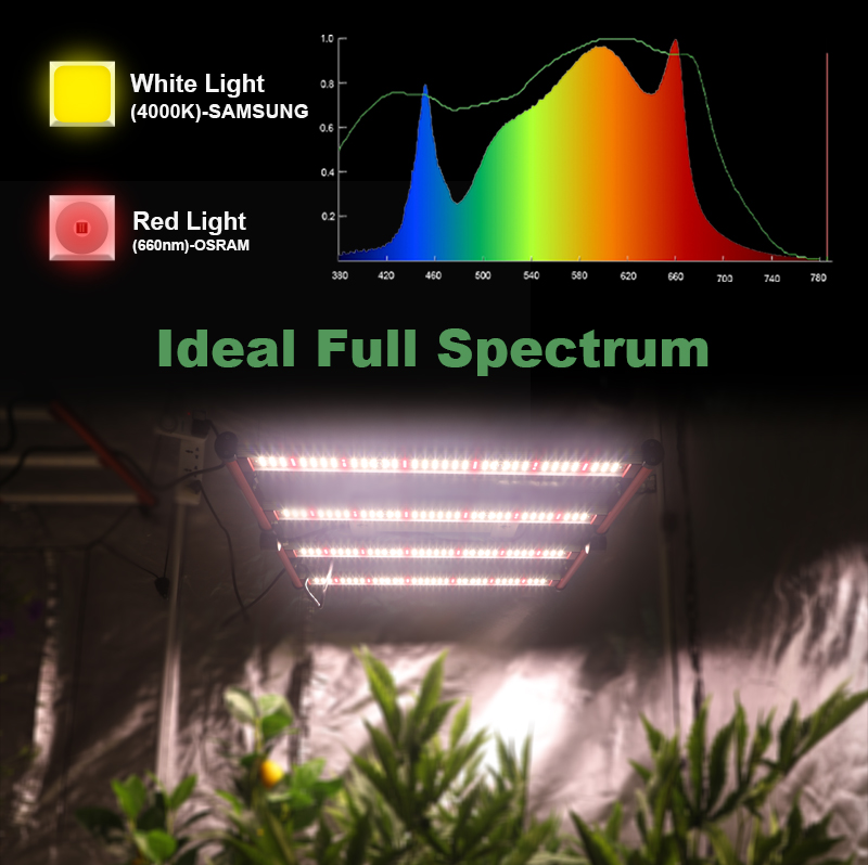 Bán nóng Giá xuất xưởng Đèn LED phát triển 240W