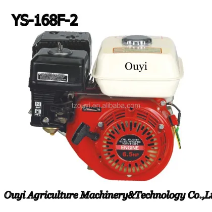 Zhejiang Taizhou Ouyi 6.5HP Golf Cart Engines