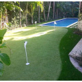 China Carpet Grass Price for Golf Field Supplier