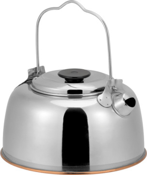 1000ml Stainless Steel Tea Kettle