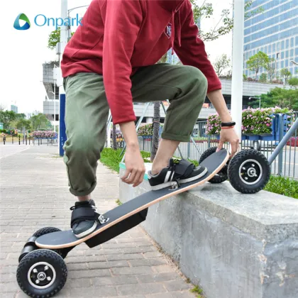 New Motorized Skateboard: Pro Electrico Electric Off-Road Skateboarding Experience
