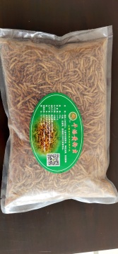 Dried Mealworms which if full of Protein