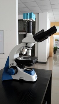 USB Binocular Microscope with 3 Megapixe Camera for Research