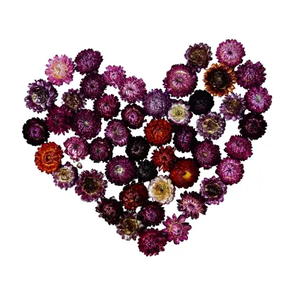 High Quality Scented Flower Tea - Chinese Blooming Chrysanthemum Tea