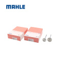 /msite/products/detail/productid/65089095/id/1523638.html