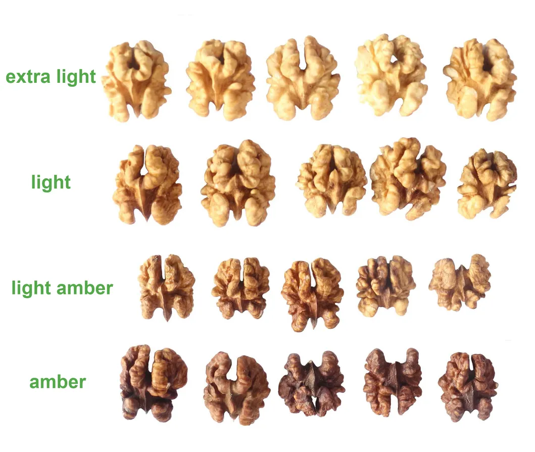 2025 Yunnan Ceviz Çekirdeği 1/2, Besleyici Fındık Çekirdeği, Ekstra Hafif Ceviz Çekirdeği, Yarım Ceviz Çekirdeği