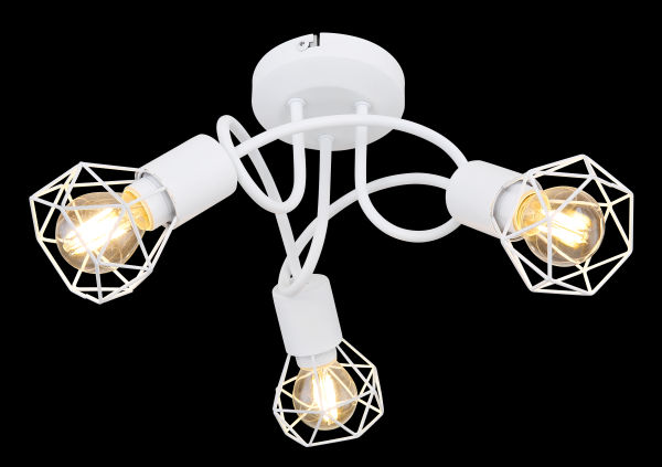 C112074 wire cage shade ceiling light (1)