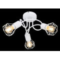 Wire cage shade ceiling light LED light bulb