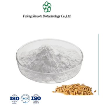 Premium Rice Bran Extract with Gamma Oryzanol Powder