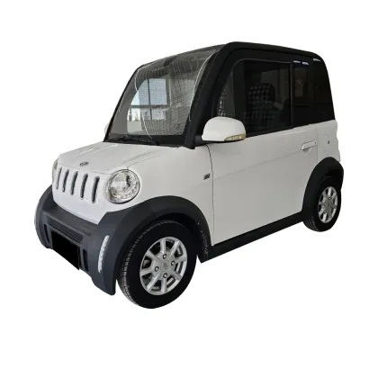 Hot RHD Pure Electric 2-Seater Jiayuan Electric Car