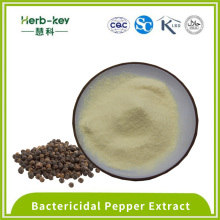 Como aditivo 95% Piperine Powder