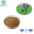 High Quality Alfalfa Extract 10:1