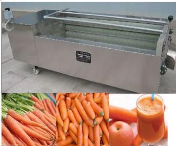 Carrot Peeling and Washing Machine