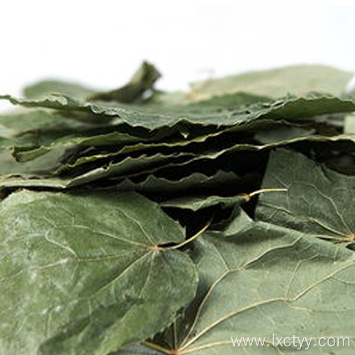 epimedium sagittatum seeds tea