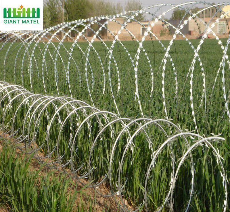 Galvanized Sharp Razor Barbed Wire High Security