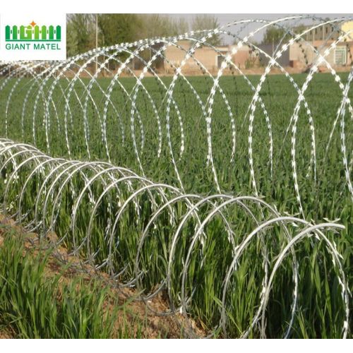 Galvanized Sharp Razor Barbed Wire High Security