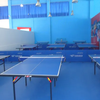 Ping-pang game use ball court flooring