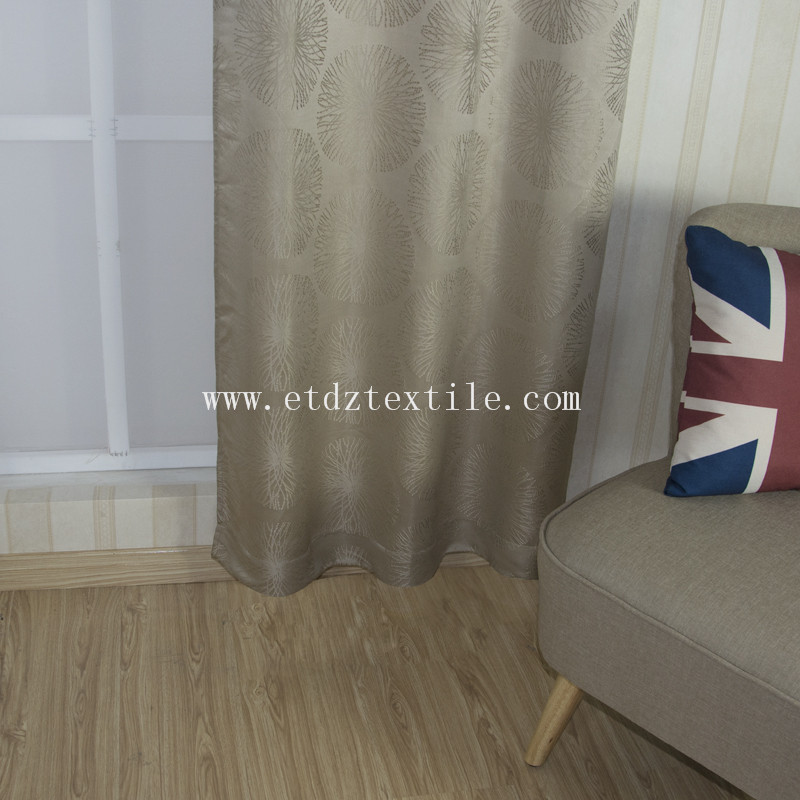 Home Curtain WZQ162