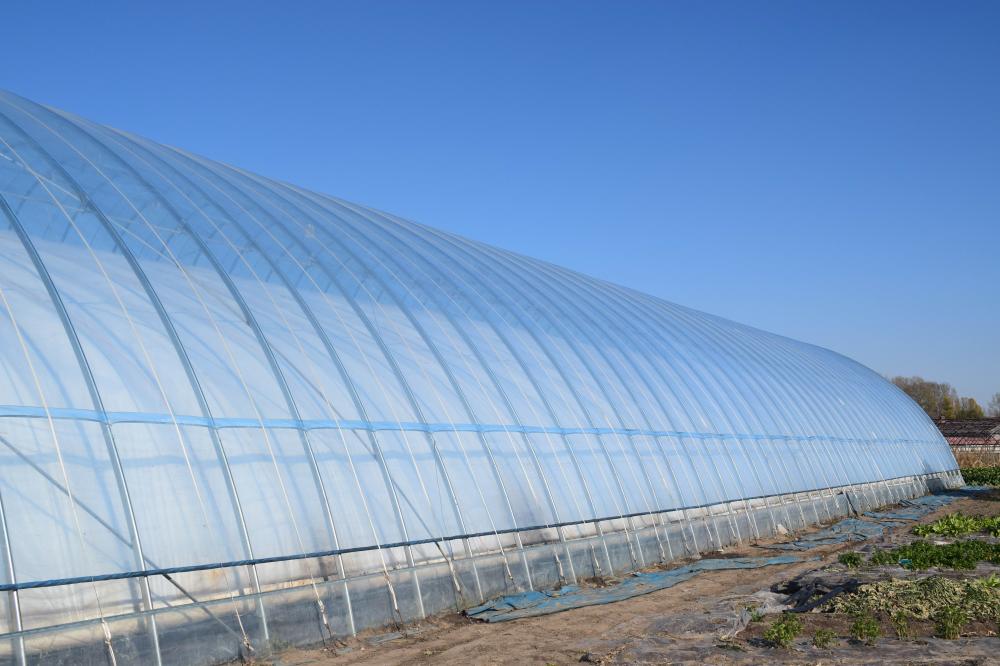 Greenhouse zéro énergie