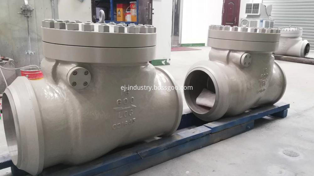 16 600check Valve Jpg