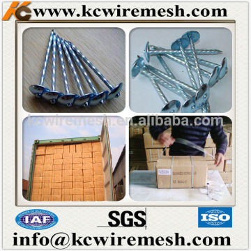 KANGCHEN galvanized umbrella head roofing nails for Kenya market.
