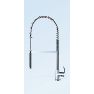 Chrome Brass Spring Kitchen Faucet ○