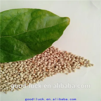 high quality perilla seed