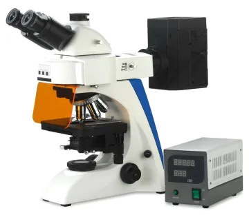 Good Price Digital Scanning Electron Educational Microscope