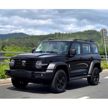Used Cheap GW Motor Tank 300 SUV Gasoline Vehicle for Urban Use