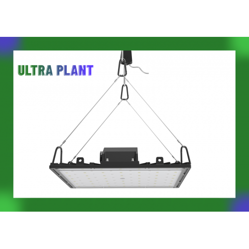 Lámparas de cultivo LED de espectro completo para hierbas