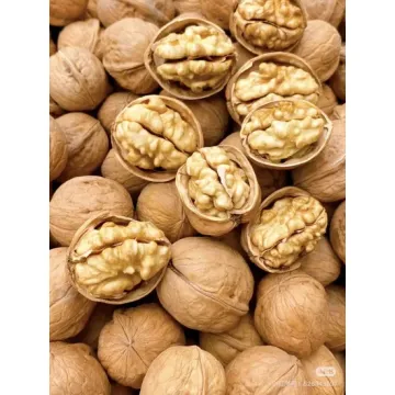 Yüksek Kaliteli Büyük Ceviz