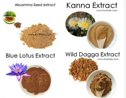 IMAHERB supply carp pituitary gland