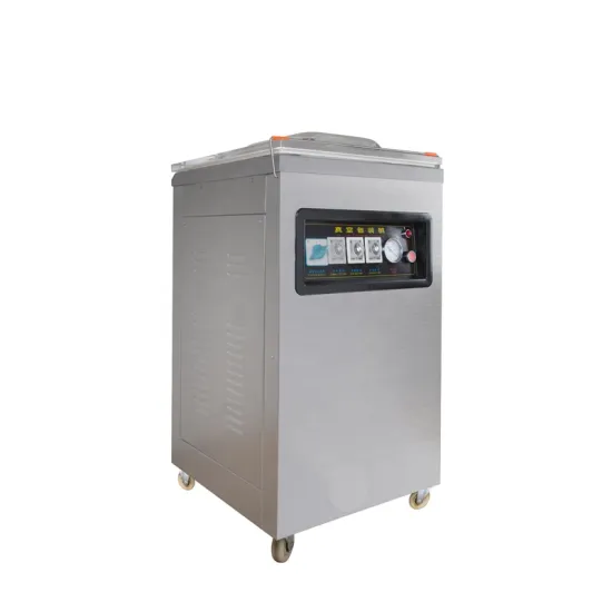 2022 Tabletop Stainless Steel Small Scale Food Vacuum Packer Machine