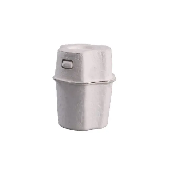 Disposable Compostable Clamshell Shipper Box Pulp Package