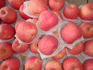 2014 Fresh FUJI Apple (Hot Sale)