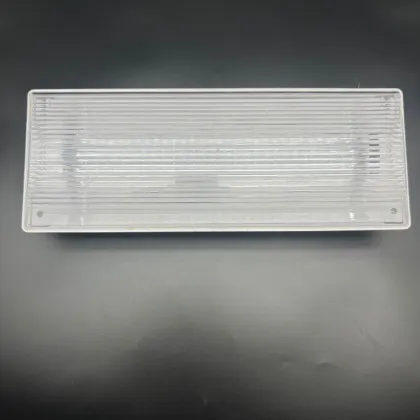 Wholesale Factory Price Custom Emergency Flood Light Evacuation Exit Sign LED Emergency Light