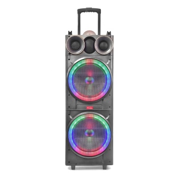 Bluetooth TWS Subwoofer Portable Karaoke Speaker with Replaceable Battery
