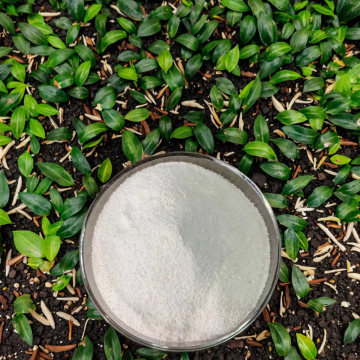 High-Quality Rice Protein Powder 70% for Nutrition