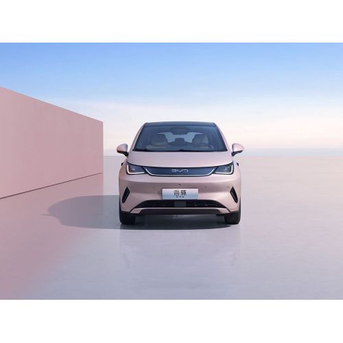 2025 Byd Dolphin 520 км Knight Edition