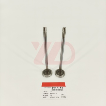 Excavator Engine Outlet Valve and Exhaust Valve for L10 Diesel Engine: 3895477 & 3417713