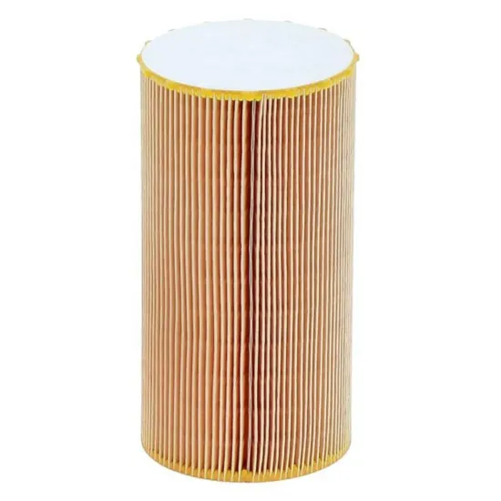 Air Filter Model 1000141558 & 16546LC50A: Replacement and Maintenance Guide