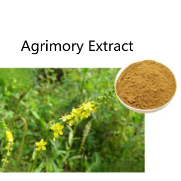 Buy online active ingredients Agrimory Extract powder