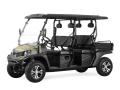 Jeep Style Electric UTV 4 asientos EFI 800CC