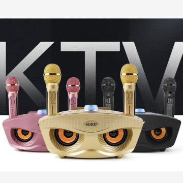 Großhandel SD306 20W Bass Sound KTV Tragbarer Karaoke Bluetooth -Lautsprecher mit Dual -Mikrofonen