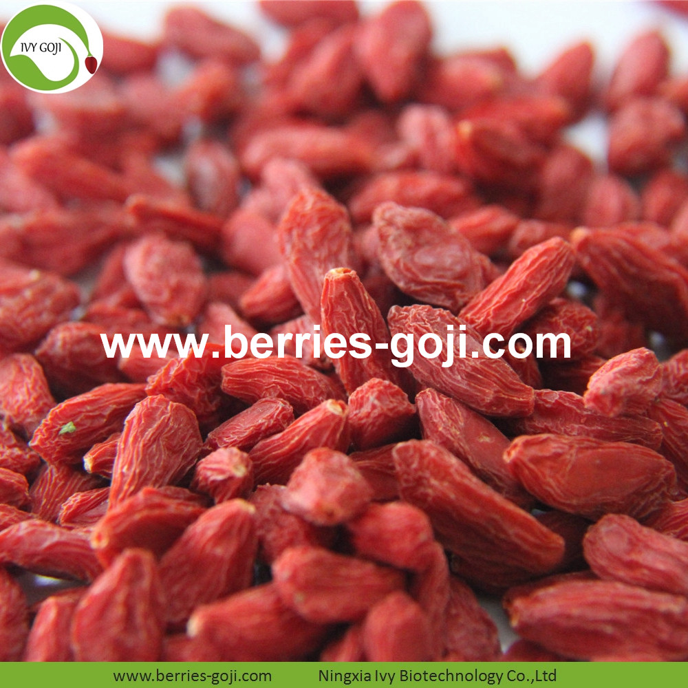 Goji Berries