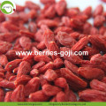 Vitamin Borong Bulk Borong Goji Berries Racun Rendah