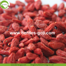 Vitamin Borong Bulk Borong Goji Berries Racun Rendah