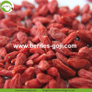 Wholesale Bulk Vitamins Low Pesticide Goji Berries